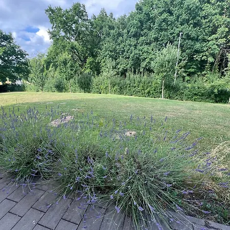 Feld & Flair Apartamento *